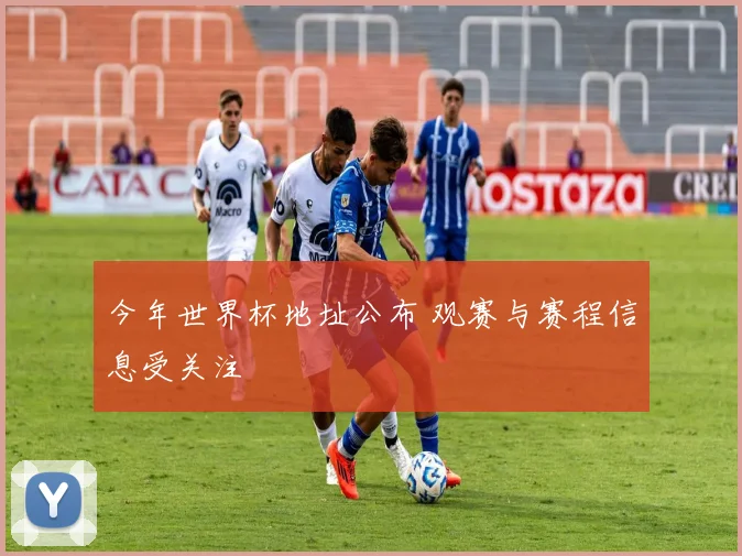 今年世界杯地址公布 观赛与赛程信息受关注